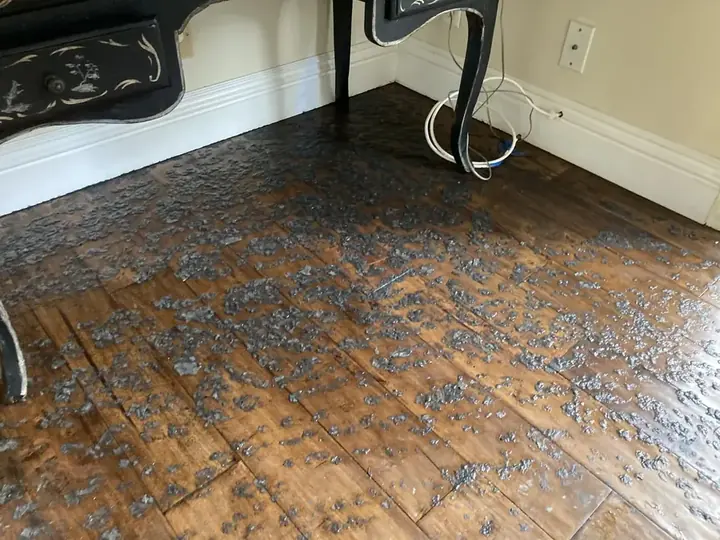 Hardwood floor cleared for drying in a Lewisville Lake area home